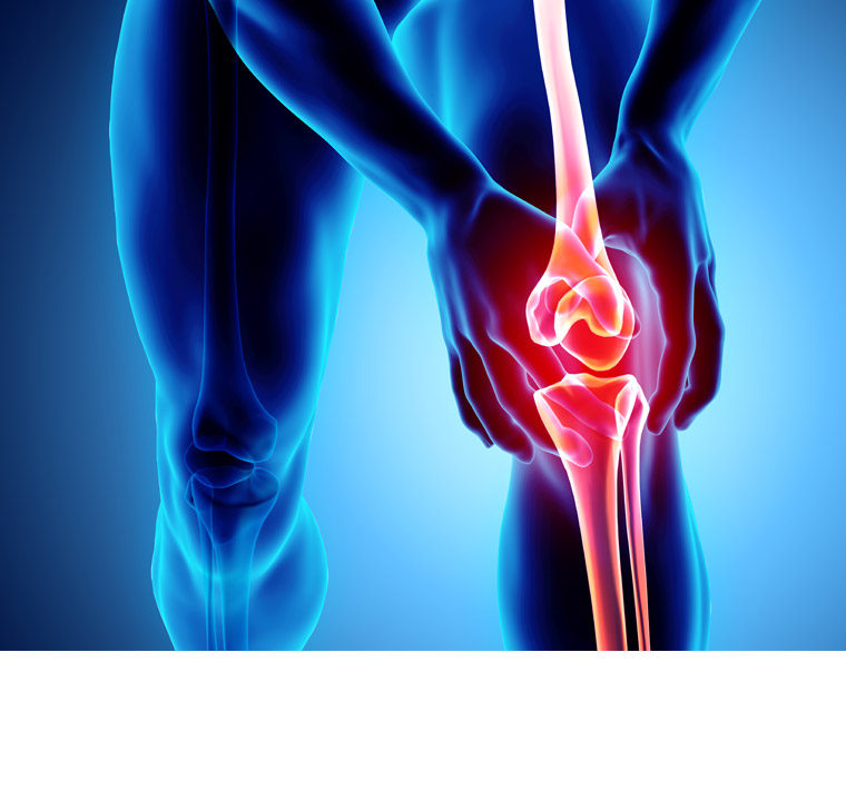 In unseren Endoprothetikzentren bekommen Sie eine Knieprothese, die individuell auf Ihre Bedürfnisse abgestimmt ist.